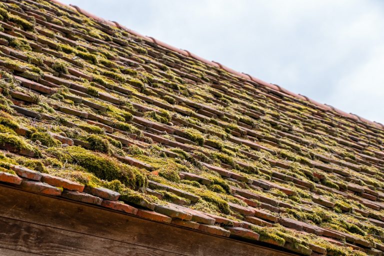 Closeup shot of a roof on an old house covered with a moss